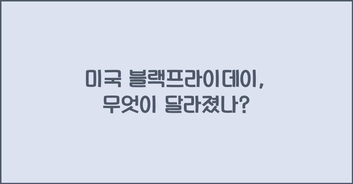 미국 블랙프라이데이