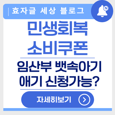 민생회복소비쿠폰임산부뱃속아기