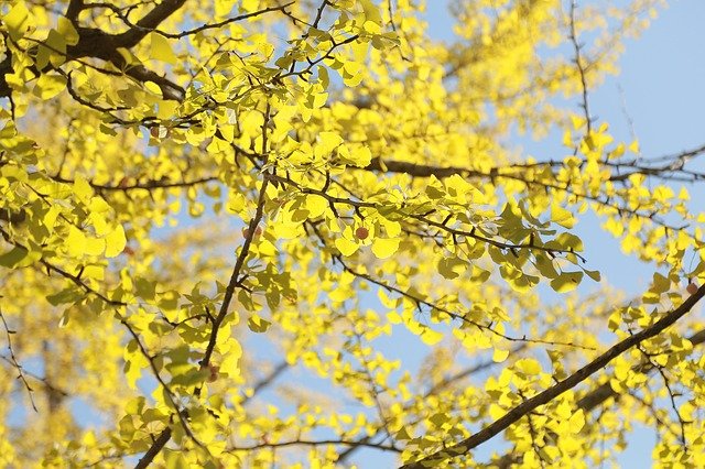 “2021년_9월_날씨_예보_기온_강수량_5”