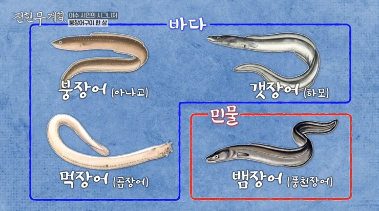전현무계획 5회 여수 식당 리스트 : 여수 백반 맛집 간장게장, 장어 소금구이, 해변 슈퍼 라면 낭도 막걸리