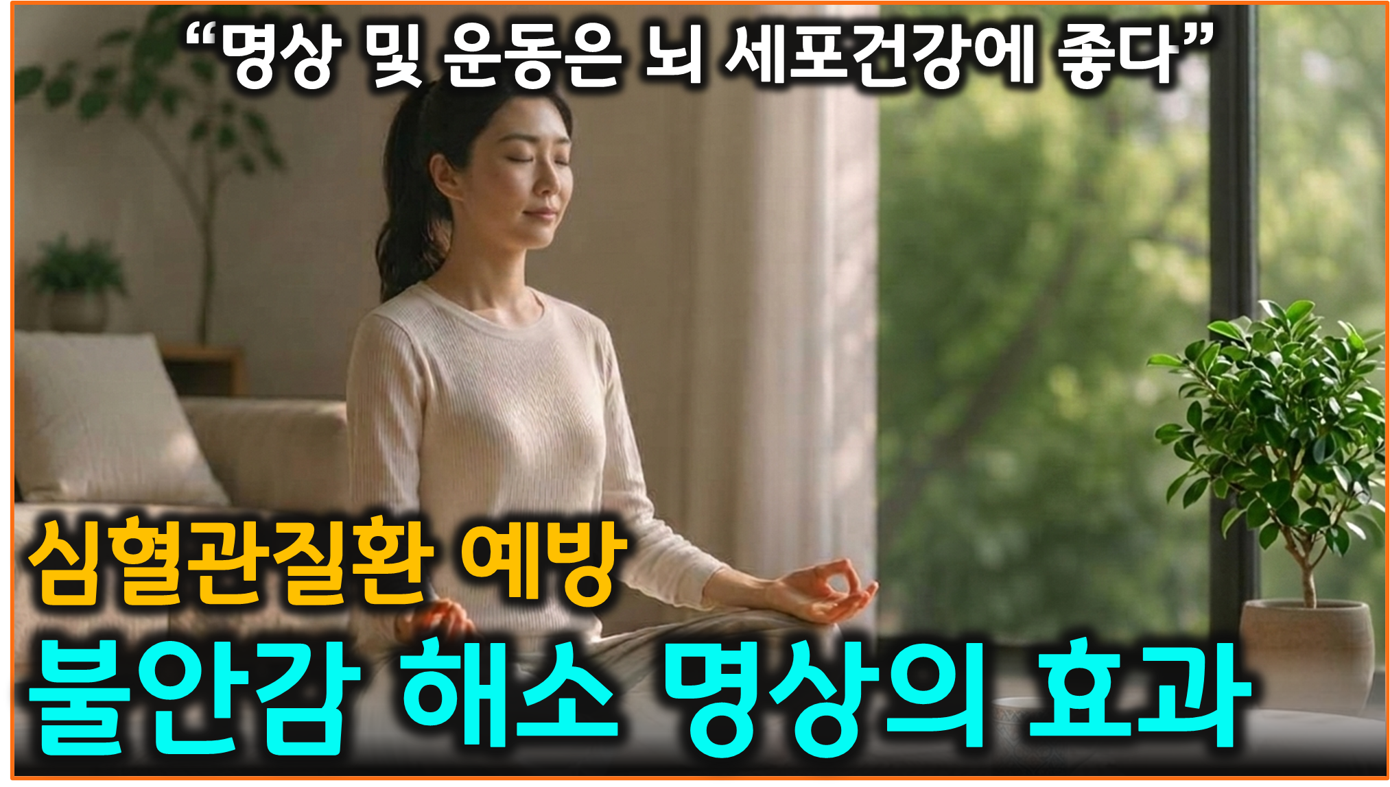 정신 건강 명상 효과 (알아차림, 뇌 변화, 마음 챙김)