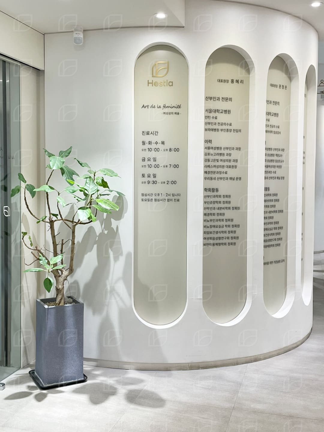 자연분만 질이완 왜 발생하나요?