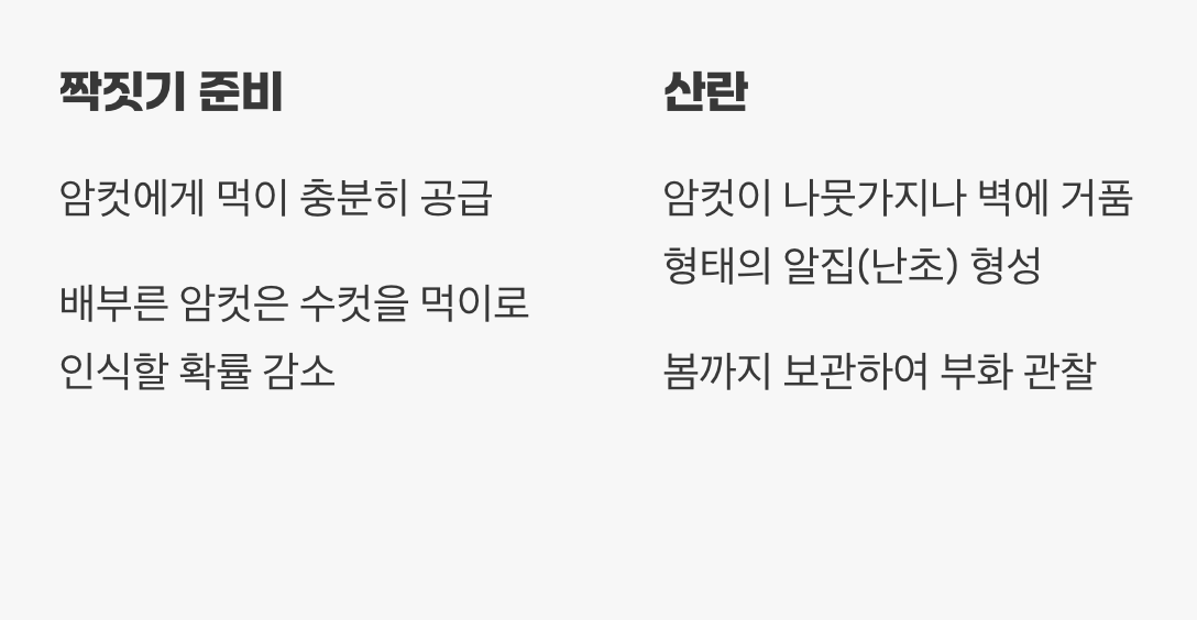 생명의 순환, 짝짓기와 산란