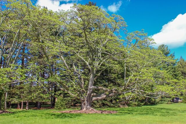 2025 숙박세일페스타 할인쿠폰 발급방법