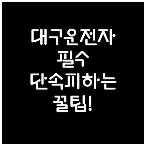 대구시 주정차 단속 알림 통합 서비스..