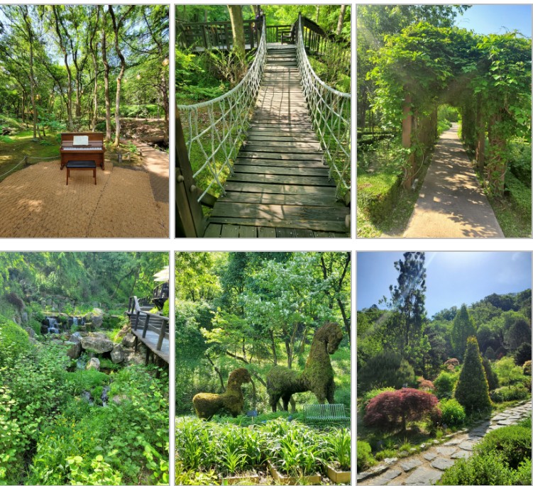 춘천-제이든가든수목원-사진