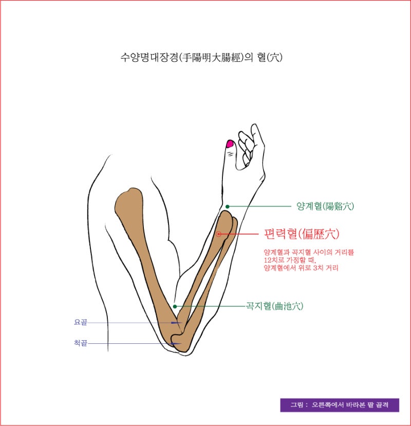 수양명대장경 - 편력혈