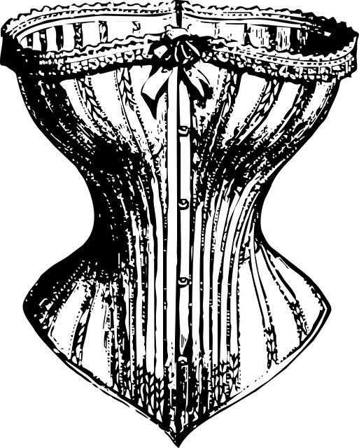 빅토리안 드레스 속 코르셋 구조도
