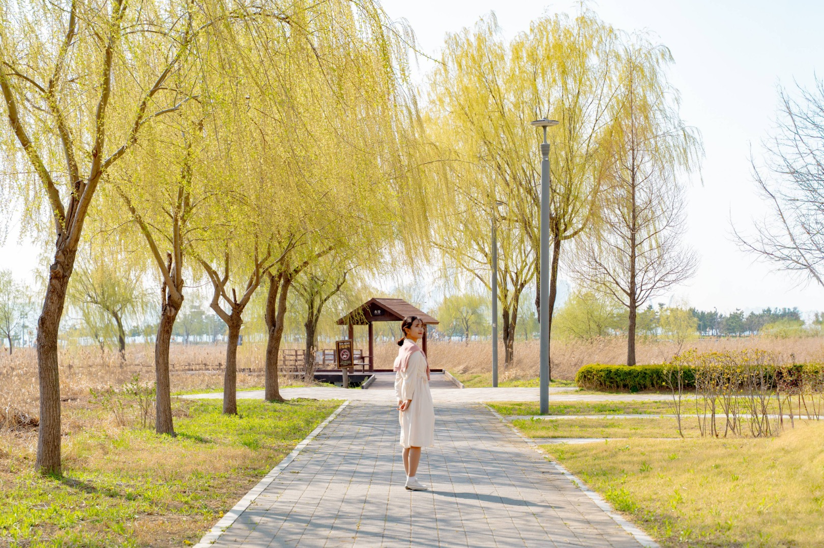 시흥 배곧생명공원 피크닉