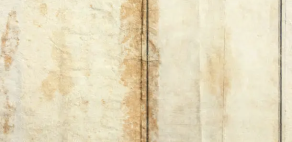 고서 수집 및 복원 - 시간 속에 숨겨진 이야기 찾기