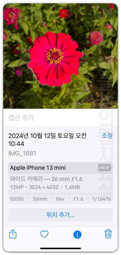 아이폰 사진 정보