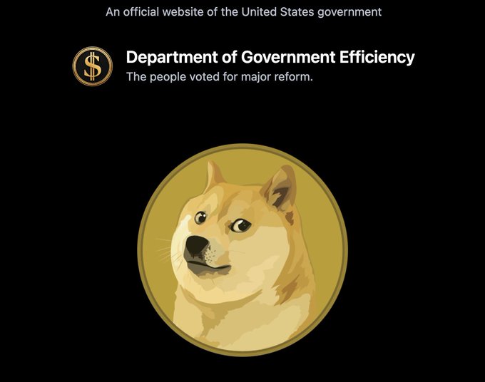 도지코인의 미래 전망