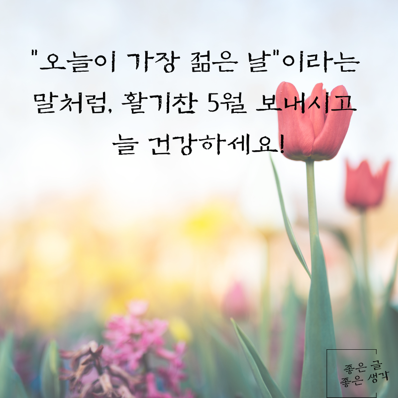 5월 인사말 문구 이미지 모음집 카톡 문자 메세지