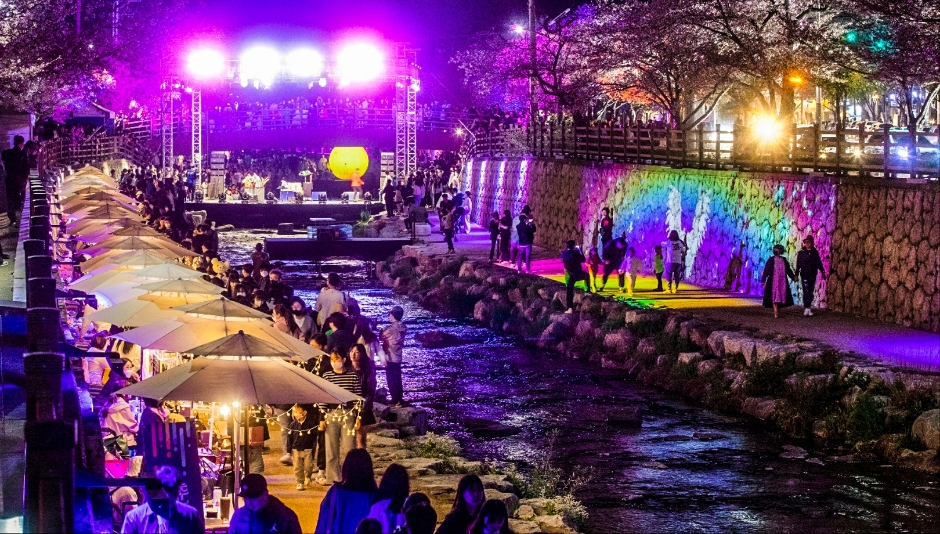 2024 전국 벚꽃 축제 명소 TOP 9