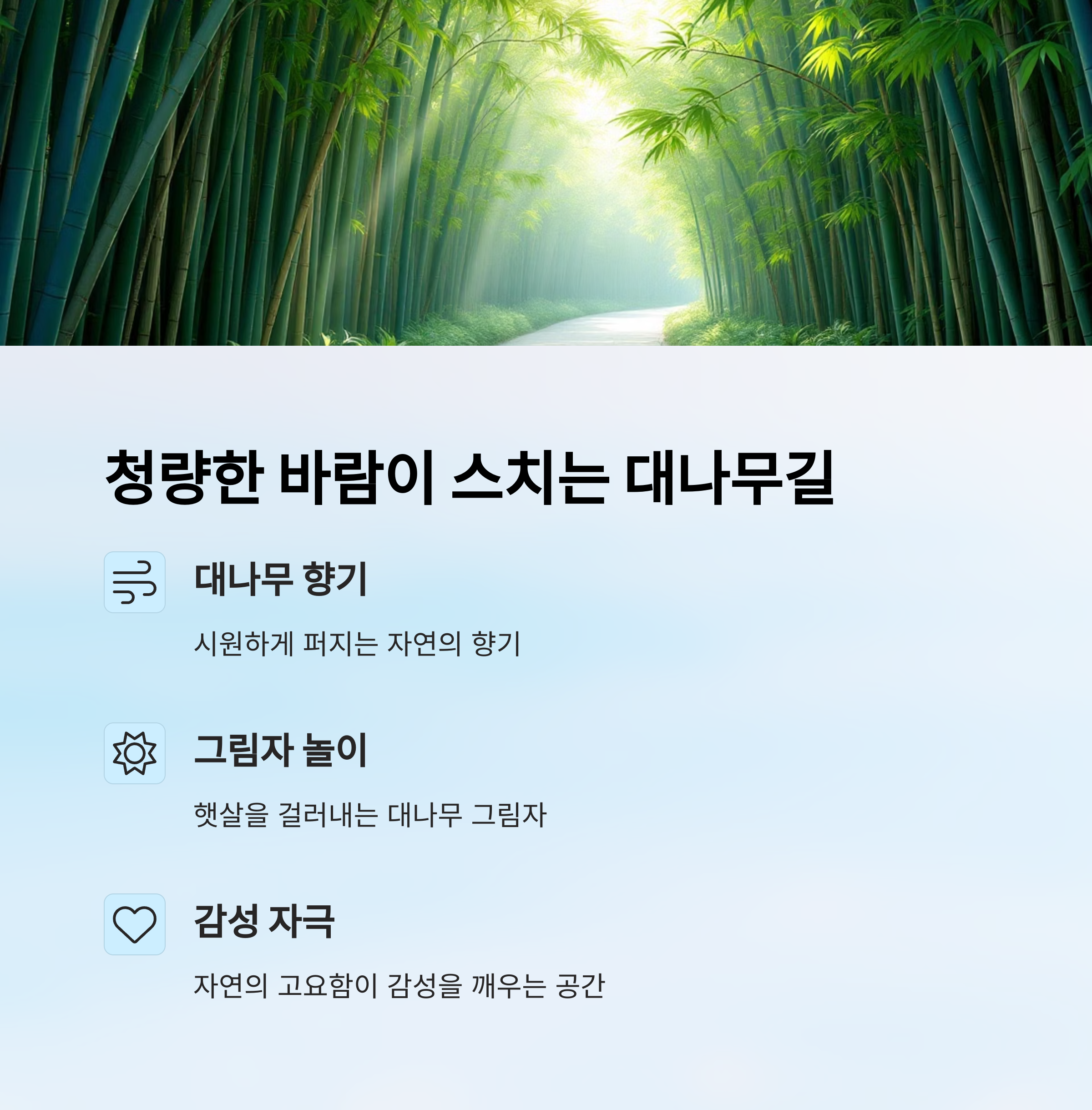 담양 죽녹원에서 만나는 대나무숲의 고요한 힐링 여행