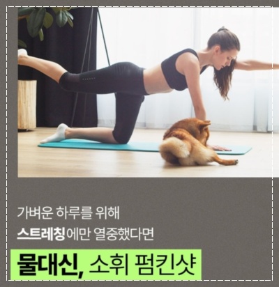 소휘 펌킨샷 캐시워크 돈버는 퀴즈 정답