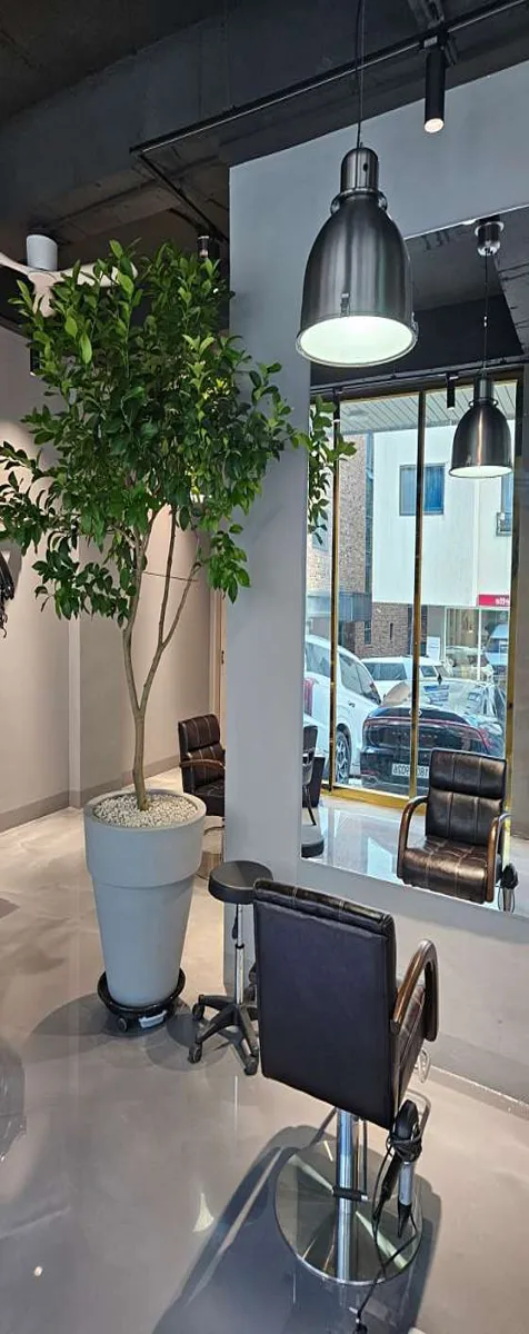 w본헤어 역북카페거리점