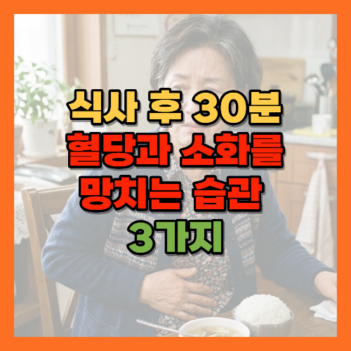 식후습관, 식후혈당관리, 식후피해야할행동, 식후샤워주의, 식후눕는습관, 위산역류, 식후혈당스파이크, 식후믹스커피주의, 식후걷기, 소화건강, 혈당관리법, 식후10분걷기, 당뇨관리, 건강한식습관, 역류성식도염, 인슐린저항성, 식후혈당스파이크예방, 식사후주의사항, 소화불량예방, 식후양치질, 혈당스파이크원인, 식후혈당관리법, 당뇨식습관, 노년기혈당관리, 식후운동효과, 위장건강습관, 식후커피주의, 건강한식후루틴, 노후당뇨관리, 황금길가이드