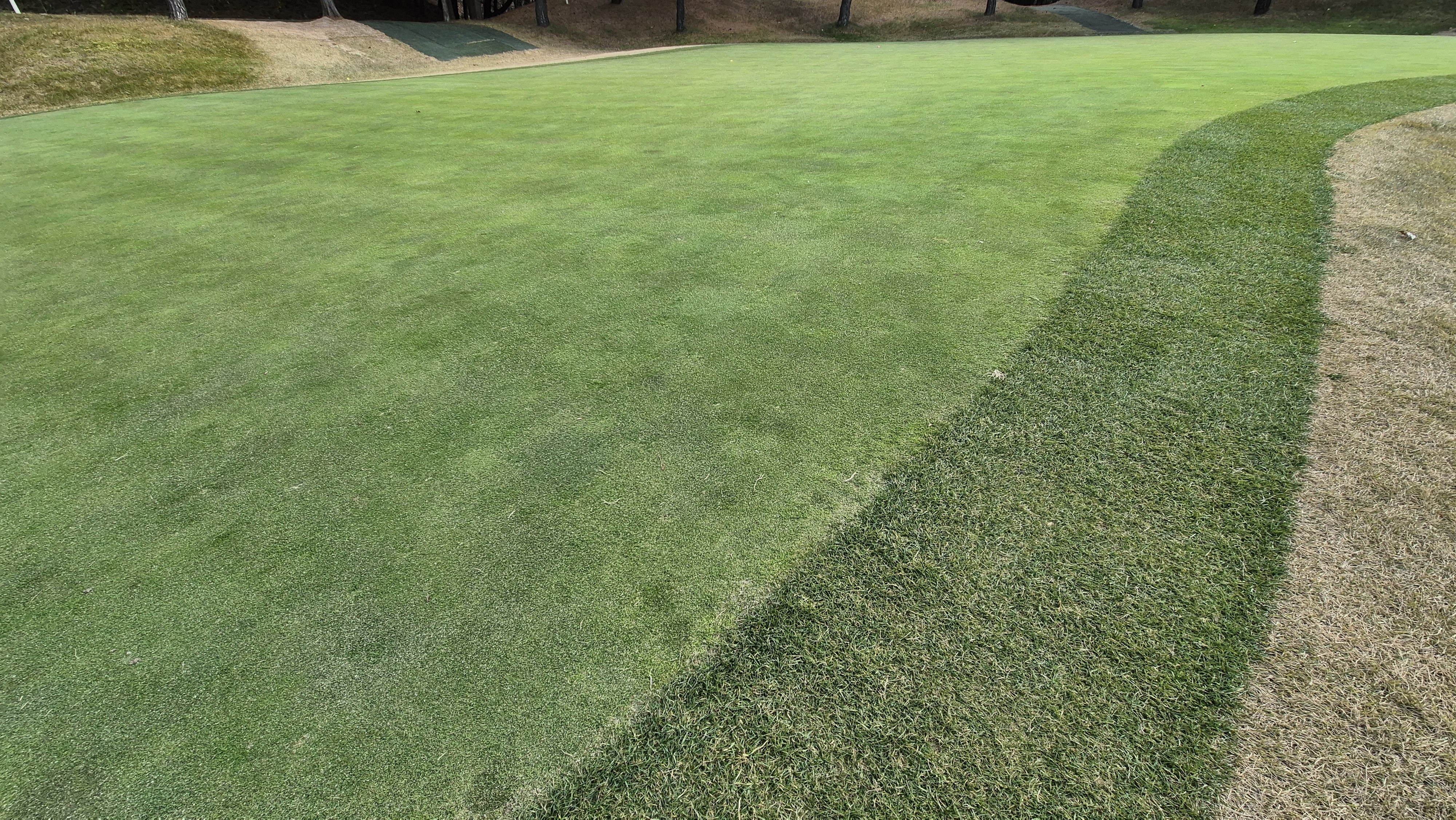 세종에머슨cc 밸리-마운틴 그린빠르기 및 난이도