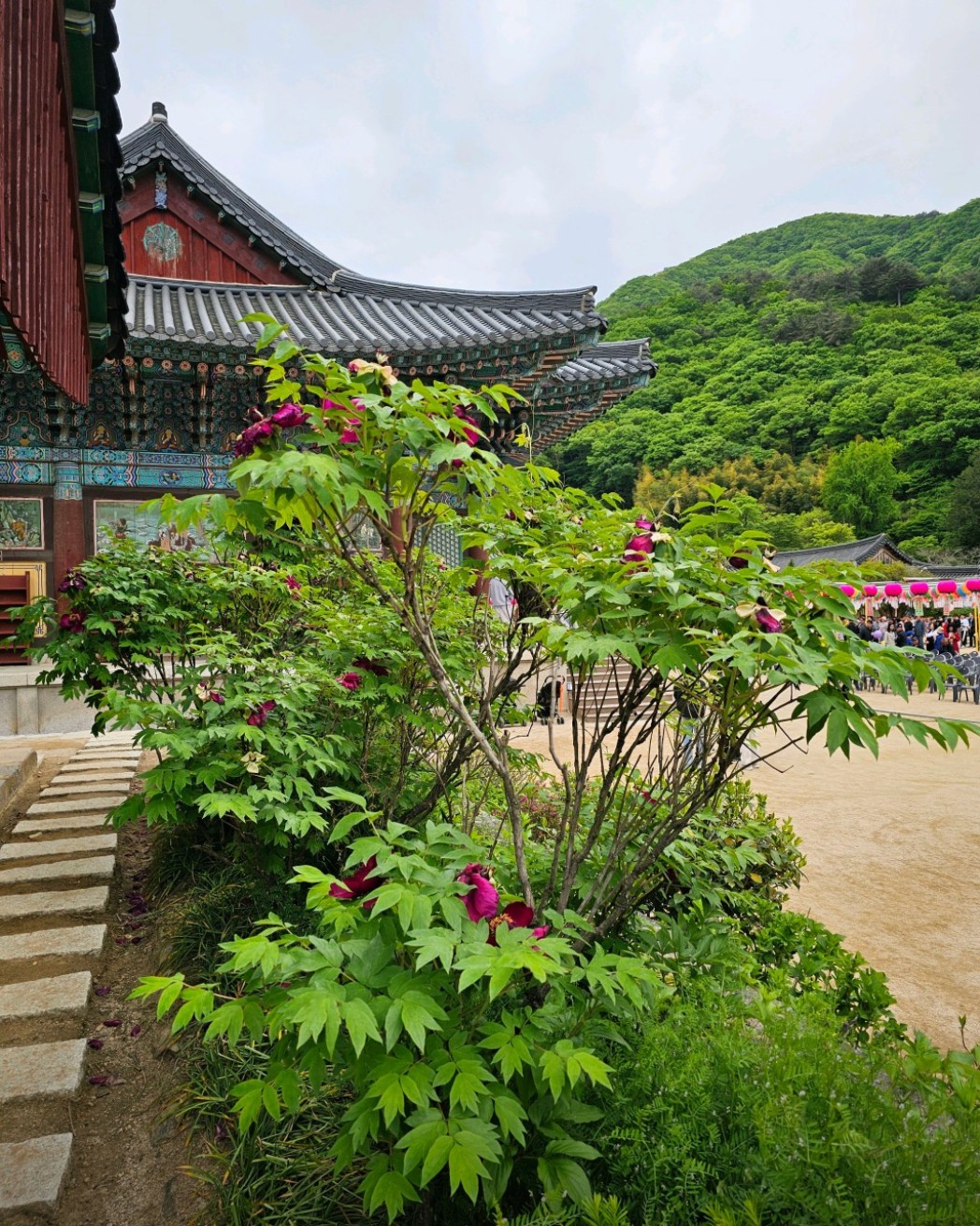 순천 송광사 이미지