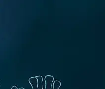 동남아 베트남 코로나19 재유행