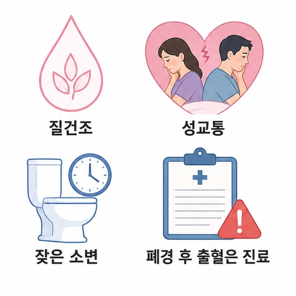 갱년기의 질건조와 성교통, 잦은 소변 증상과 폐경 후 출혈 시 진료 필요성을 안내한 이미지
