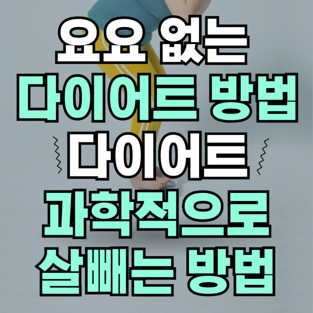요요 없는 다이어트 방법 / 다이어트 / 과학적으로 살빼는 방법