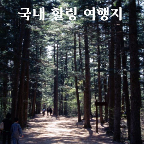 국내 여행지