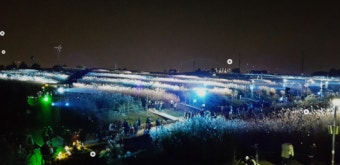 서울 억새축제