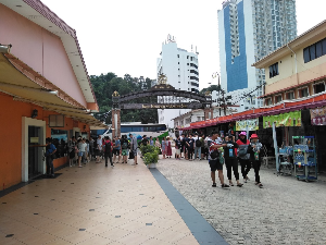 제셀턴 포인트
