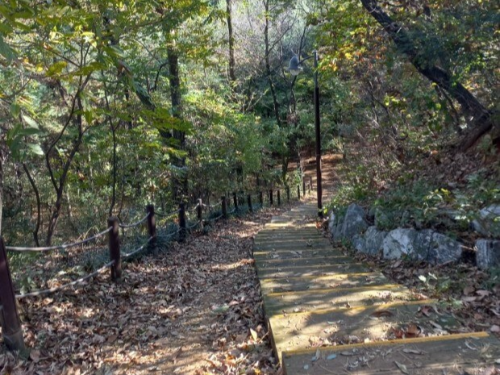 수원 영통 독침산 둘레길 산책 코스