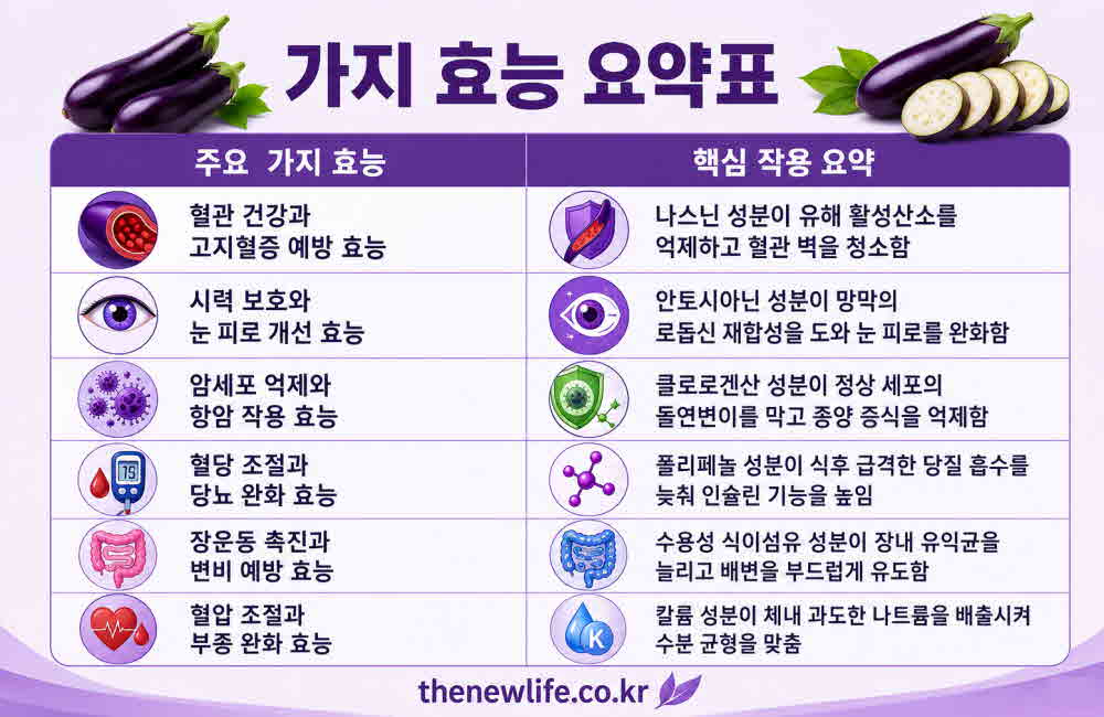 가지 효능 요약표