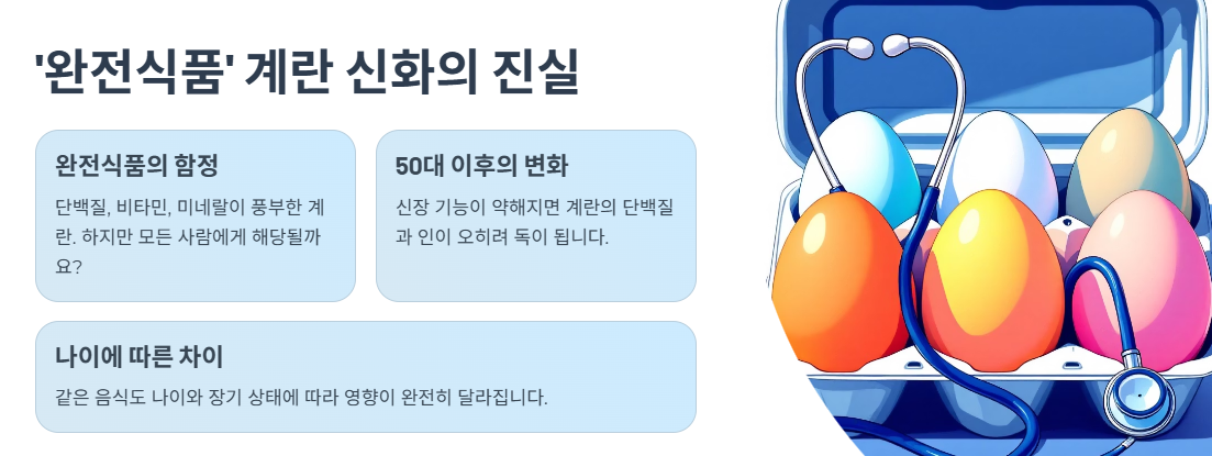 ‘완전식품’ 계란 신화의 진실