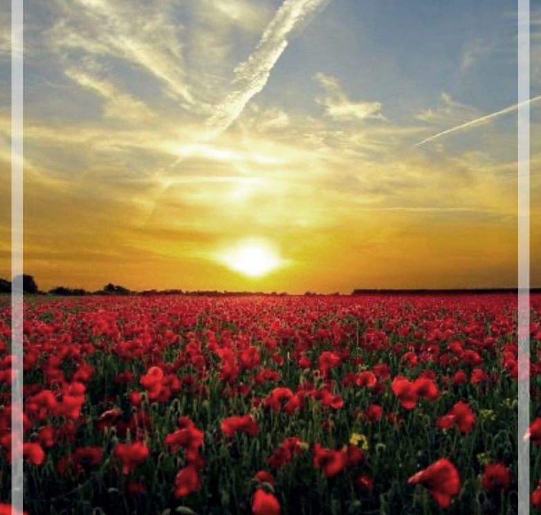 머리가 멍해요, 원인과 치료: 브레인 포그