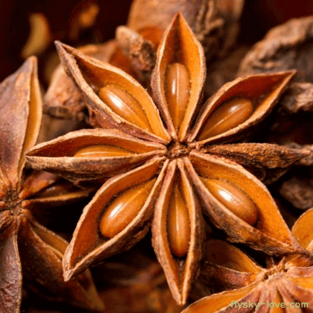 팔각 향신료 스타아니스