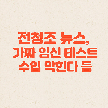 전청조 최근 뉴스&#44; 전청조 밈&#44; 가짜 임신 테스트 수입 막힌다 등