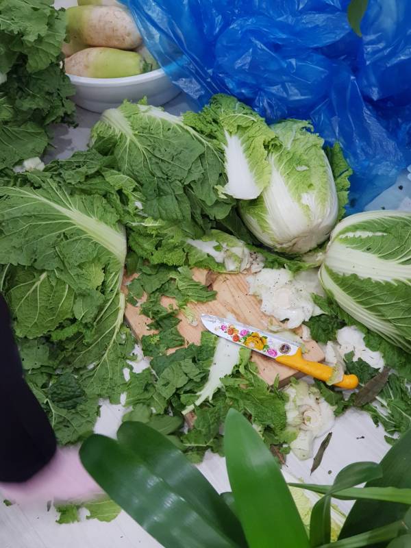 장보고 와서 바로, 김장배추 손질