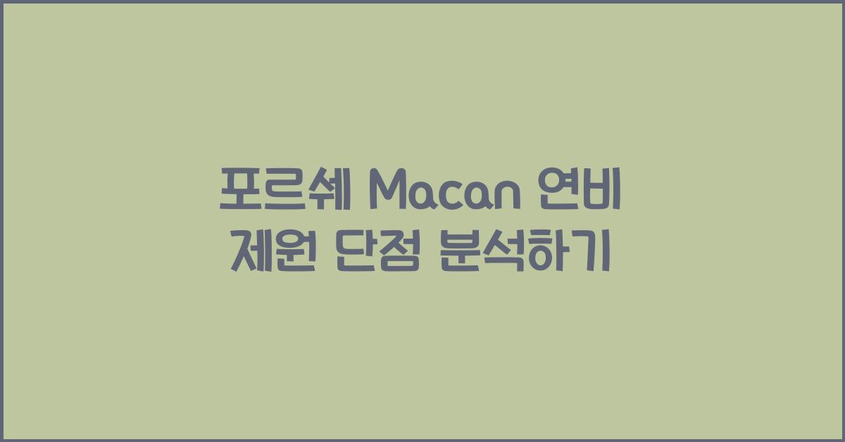포르쉐 Macan 연비 제원 단점