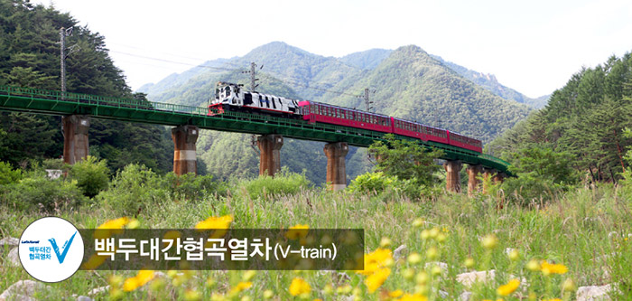 백두대간-협곡열차-국내-기차여행-추천-BEST-2