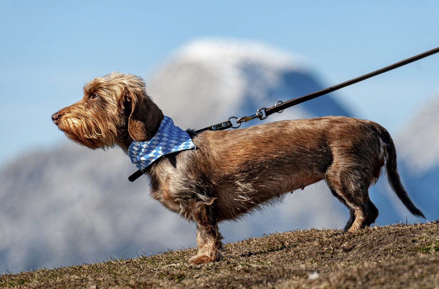 국내총생산 디플레이터로 이해하는 물가와 경제 흐름