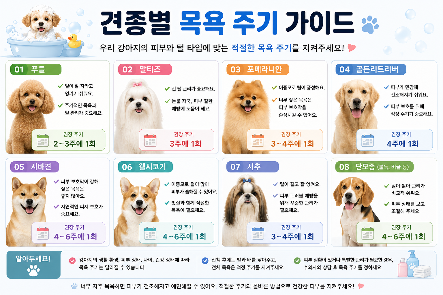 견종별 강아지 목욕 주기 가이드 이미지