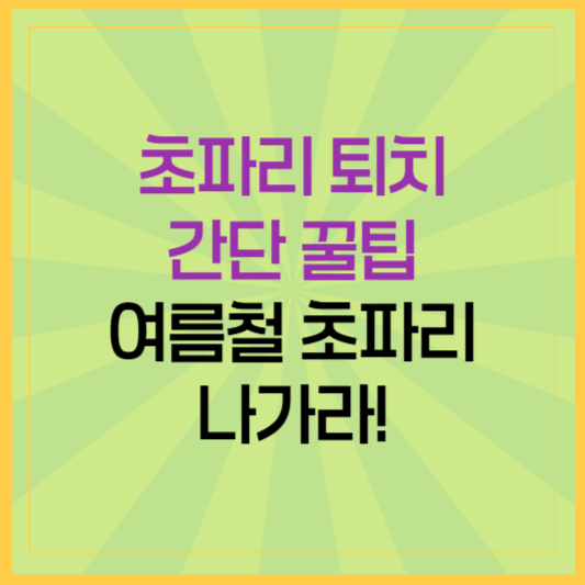 초파리 퇴치 간단 꿀팁