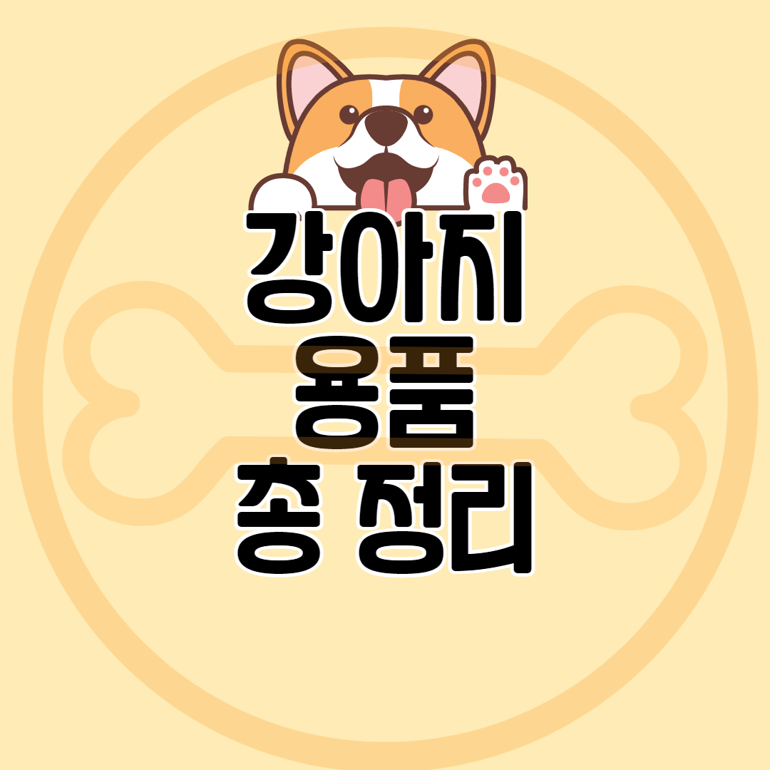 입양 전 강아지 필수 용품 총 정리 2022