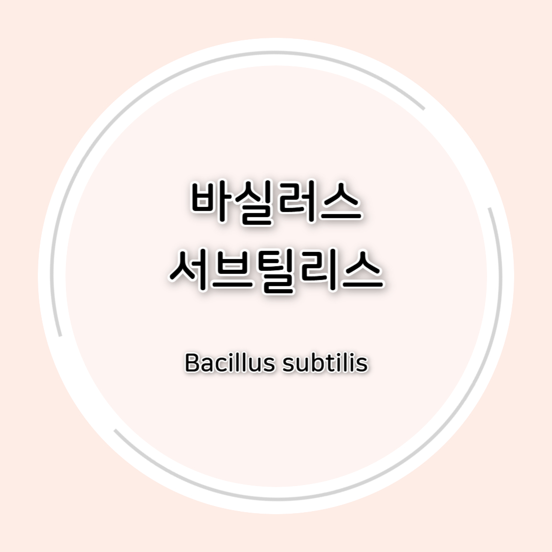 바실러스 서브틸리스(Bacillus subtilis)효능 총정리
