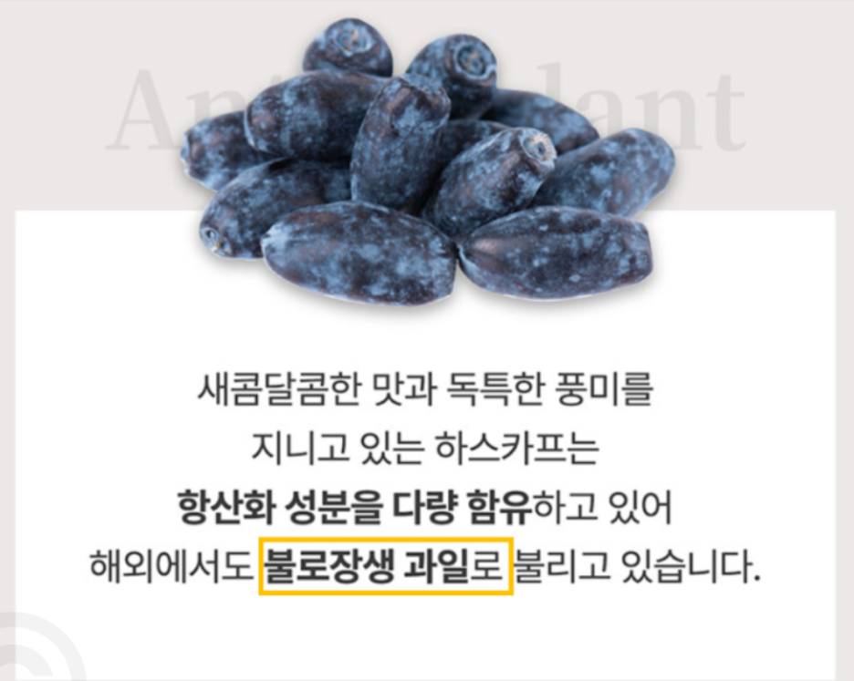 하스카프베리 효능 및 하스카프베리즙 추천 올바른 선택기준 NFC 착즙 방식 WCS 비교 정리