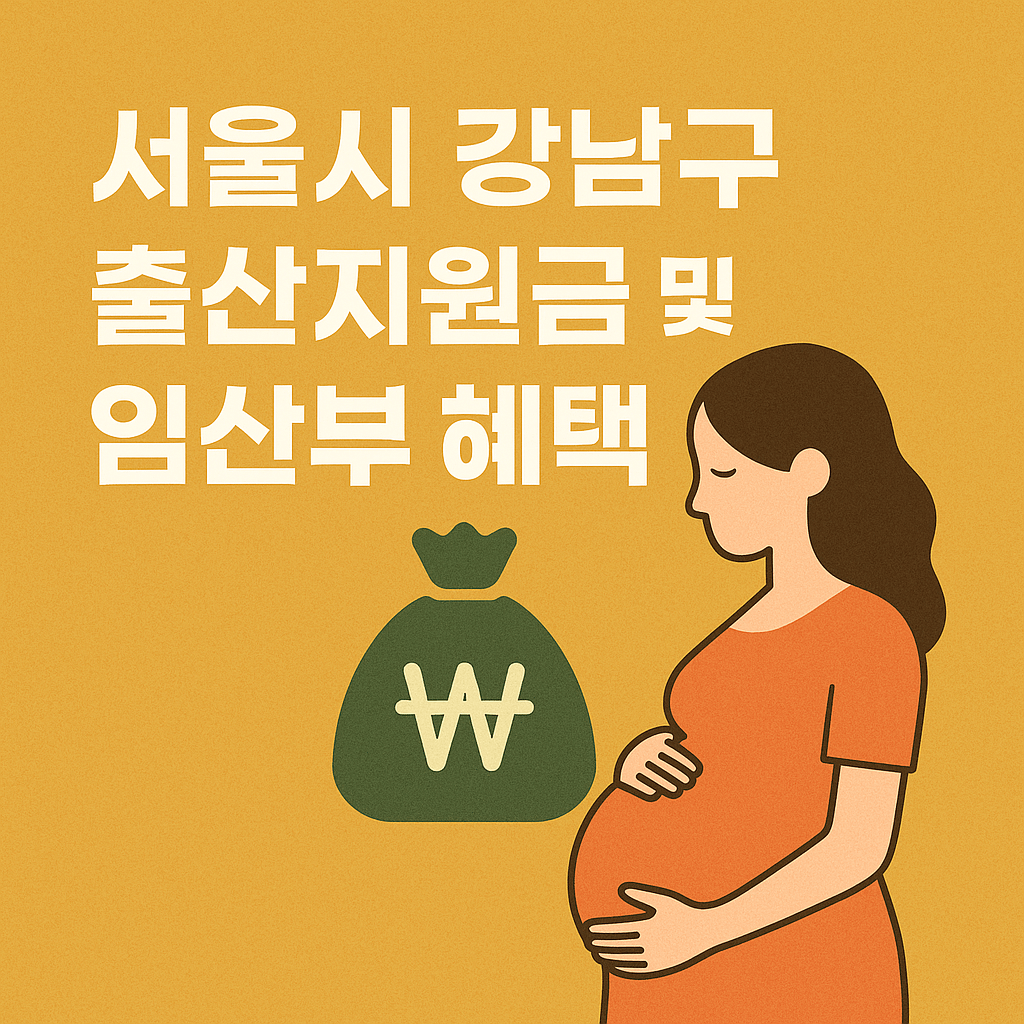 서울시 강남구 출산지원금