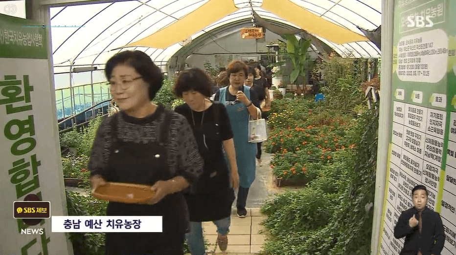 녹색처방전-우울감 낮추기-치유농원-치유농업프로그램-치유농장-치유농원-치유농업시설-치유농업법-장소-시간-가는길-안내