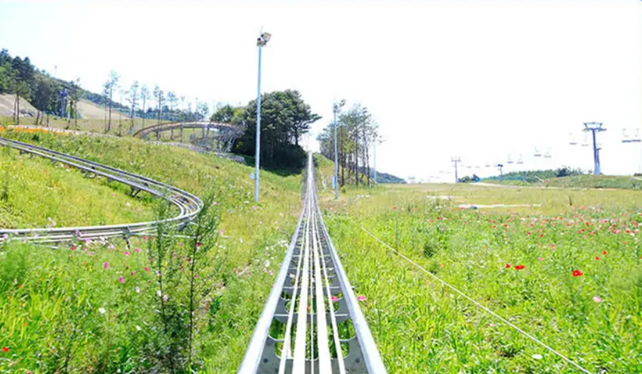 평창 가볼만한곳 베스트10