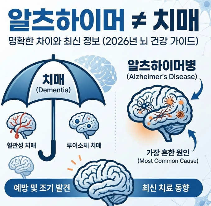 알츠하이머와 치매 차이