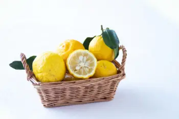 유자 가격 및 효능&amp;#44; 영양성분